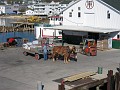 Mackinaw Island Area May 2008 0220